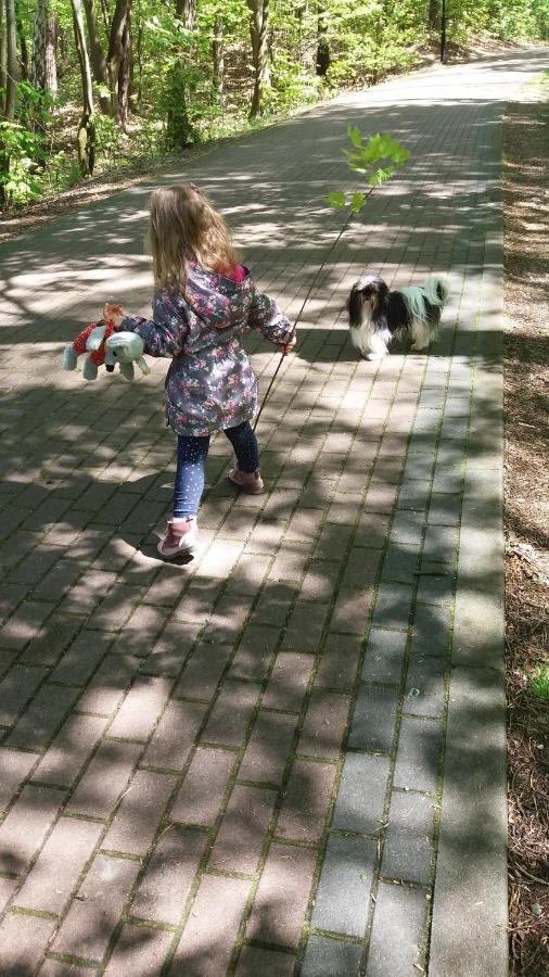 Limba Lägenhet Jastarnia Exteriör bild